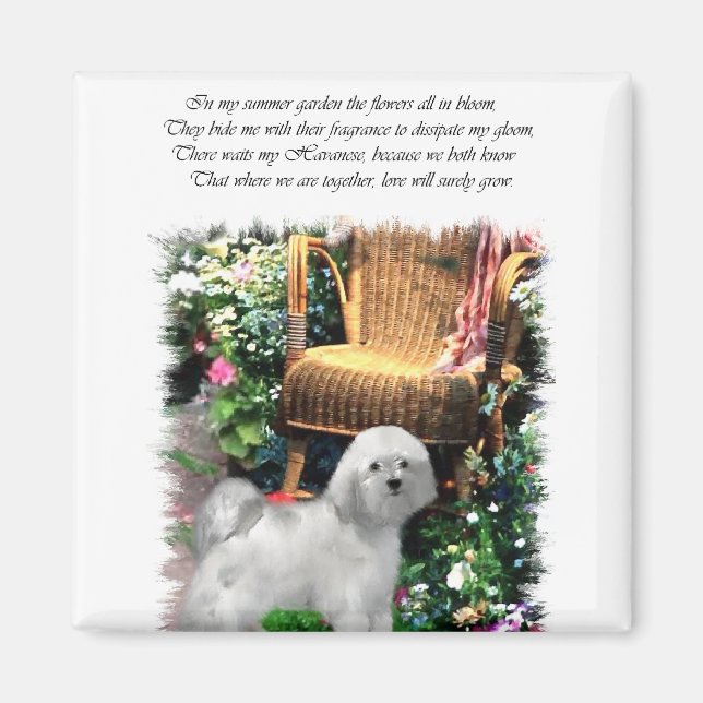 Havanese Art Gifts Magnet (Front)