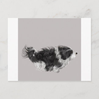 Havanese B&W Postcard
