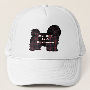 Havanese BFF Hat