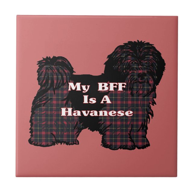 HAVANESE BFF TILE (Front)