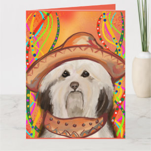 HAVANESE CARD