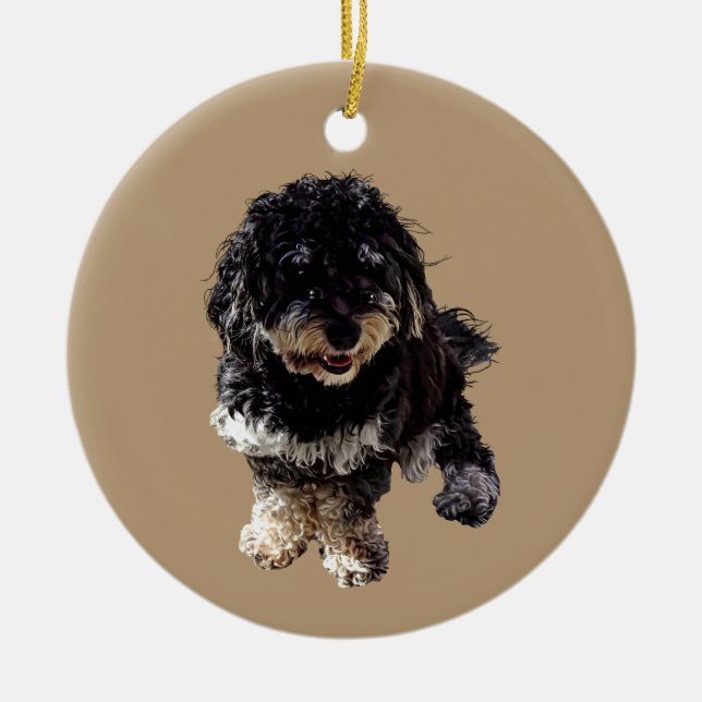 Havanese Ceramic Tree Decoration (Front)