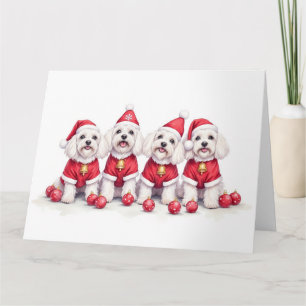 Havanese Christmas Dress Santa Hat Card