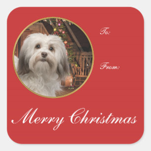 Havanese Christmas Gift Stickers