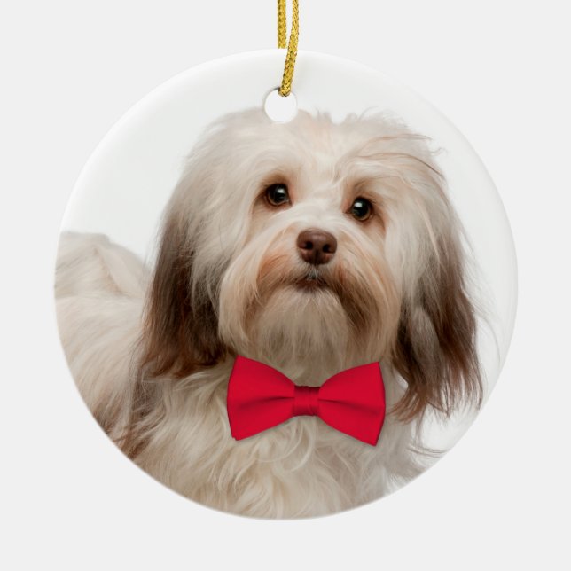 Havanese Christmas Ornament (Front)