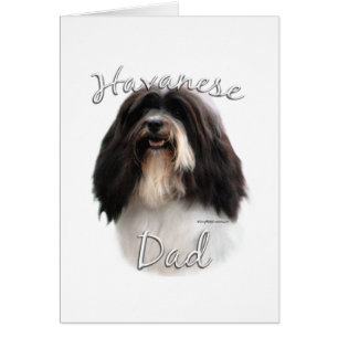 Havanese Dad 2