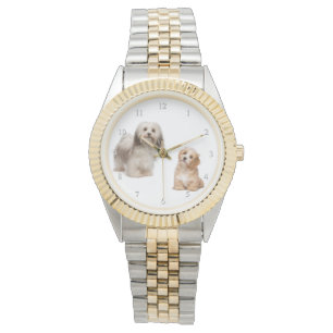 Havanese Dog and Pup Watch
