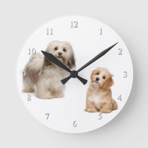 Havanese Dog and Puppy Clock