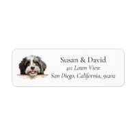 Havanese Dog Breed Pet Lovers