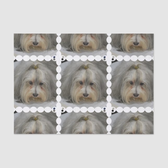 Havanese Dog Breed Tissue Paper (Front)