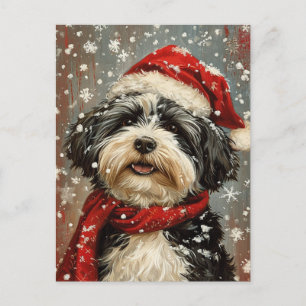 Havanese dog Christmas  Postcard