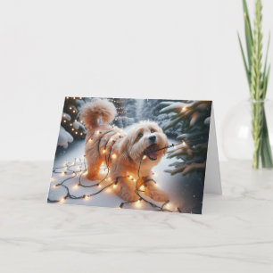 Havanese Dog In Tangled Christmas Lights Holiday Card