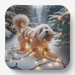 Havanese Dog In  Tangled Christmas Lights Paper Plate