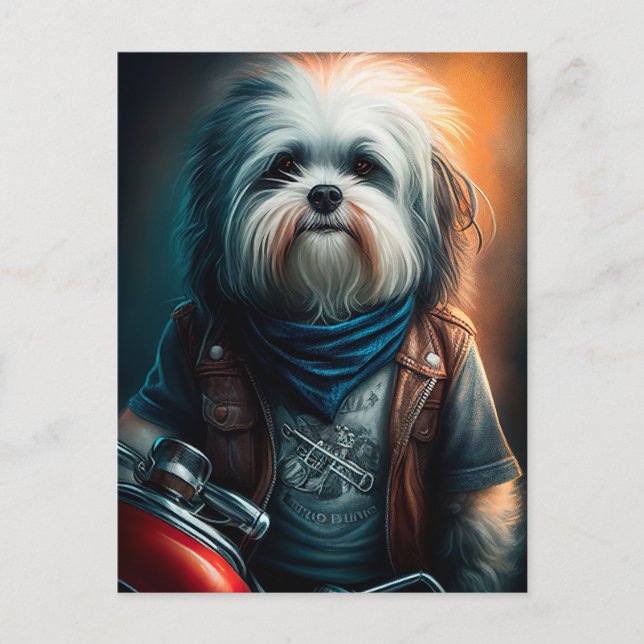 Havanese dog on bike digital painting  postcard (Front)