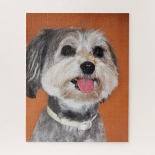 Havanese Dog Portrait Jigsaw Puzzle