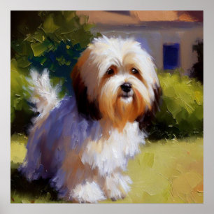 Havanese Dog Poster