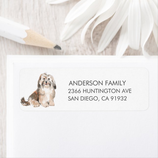Havanese Dog Return Address Label (Insitu)