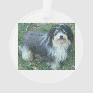 havanese full.png ornament