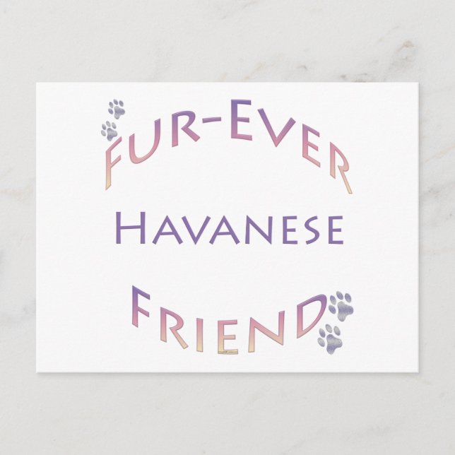 Havanese Furever Postcard (Front)