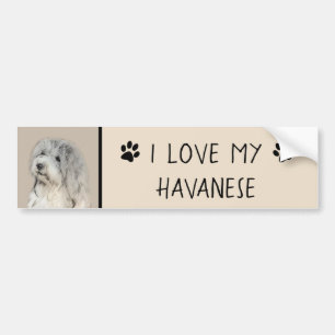 Havanese (Gold Sable) Painting - Original Dog Art Bumper Sticker