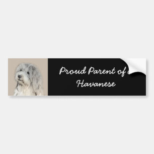 Havanese (Gold Sable) Painting - Original Dog Art Bumper Sticker