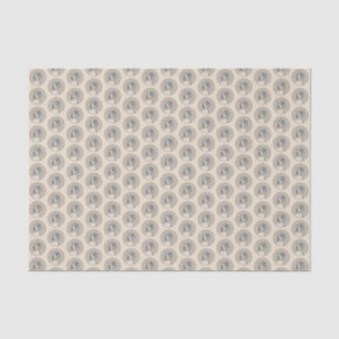 Havanese (Gold Sable) Painting - Original Dog Art Tissue Paper