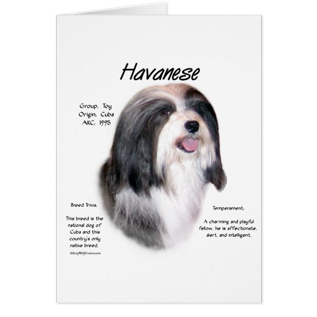 Havanese History Design (Front)