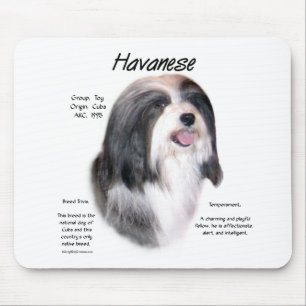 Havanese History Design Mouse Pad