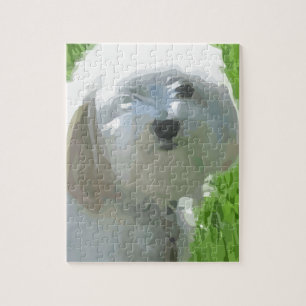 Havanese Jigsaw Puzzle