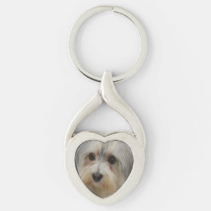 Havanese Key Ring