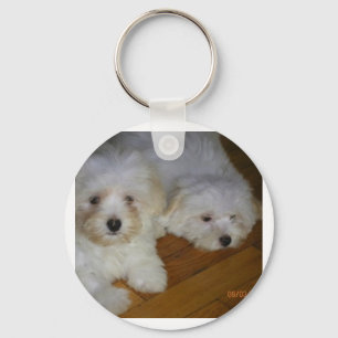 Havanese Key Ring