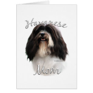 Havanese Mum 2