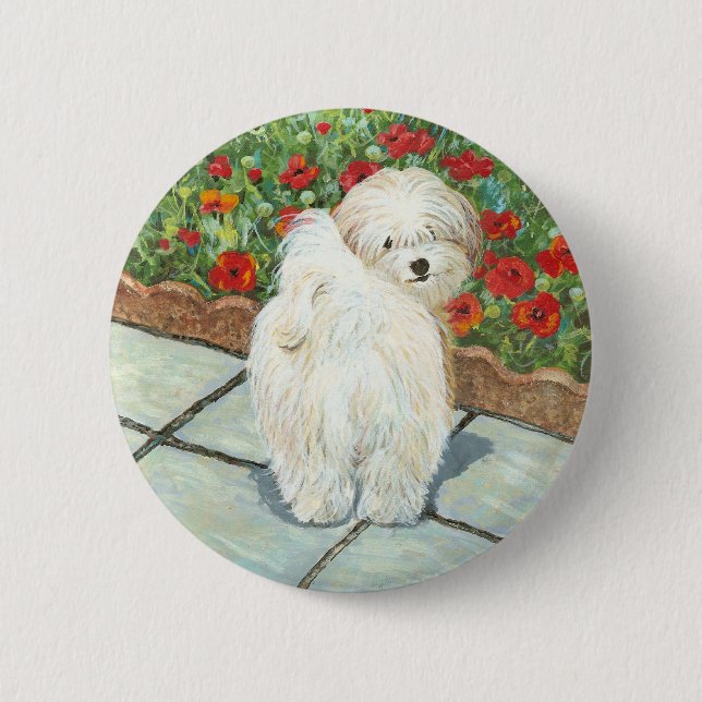 Havanese n Poppies Art Print Gifts & Cards 6 Cm Round Badge (Front)