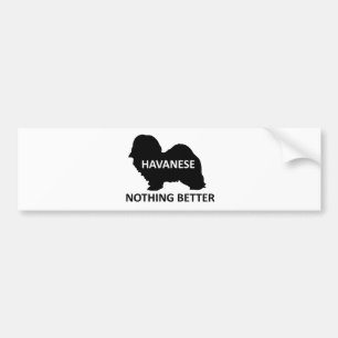 Havanese name silo nothing better bumper sticker