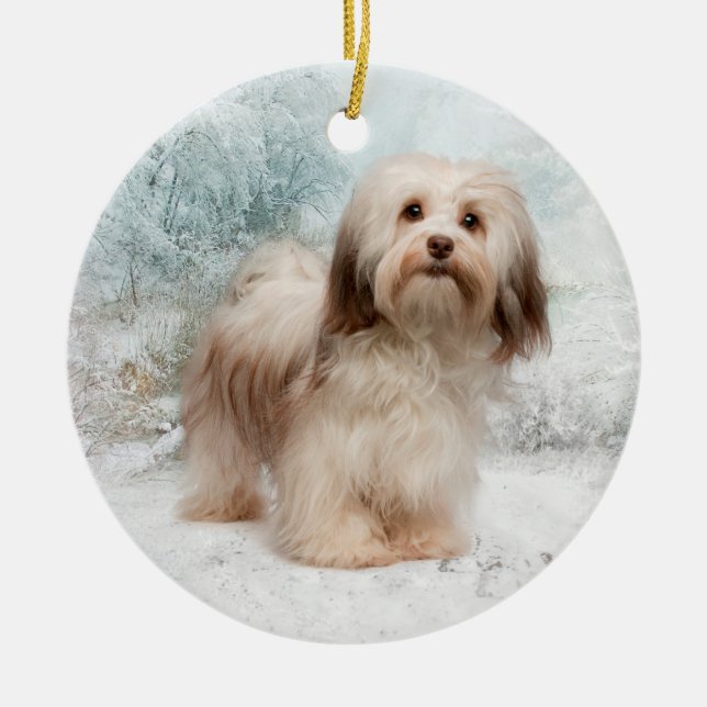 Havanese Ornament (Front)