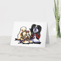 Havanese Playmates