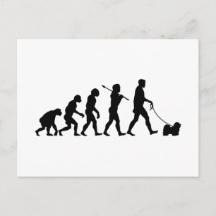 Havanese Postcard