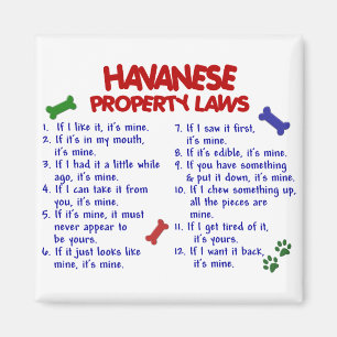 HAVANESE Property Laws 2 Magnet