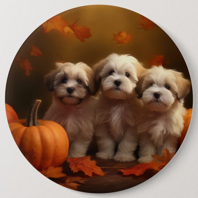 Havanese Puppy Autumn Delight Pumpkin 6 Cm Round Badge (Front)