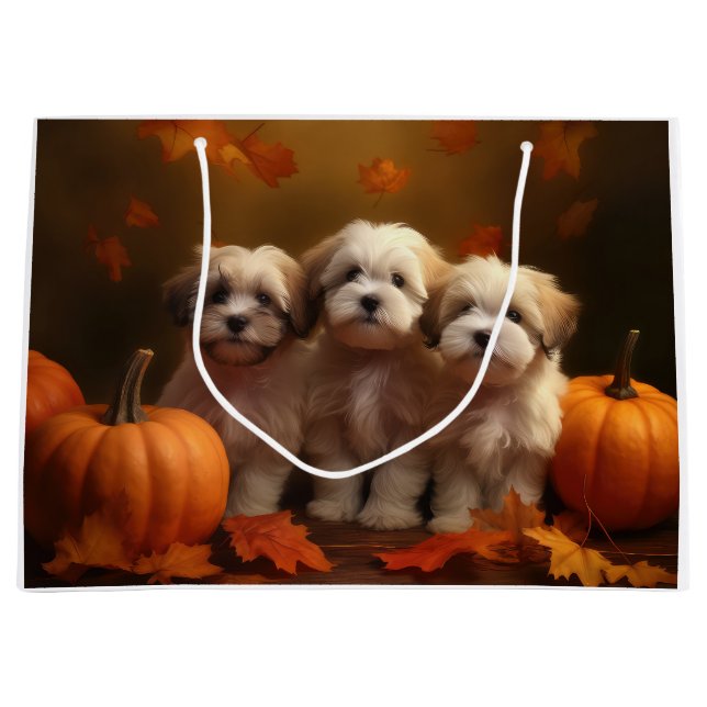 Havanese Puppy Autumn Delight Pumpkin Large Gift Bag (Front)