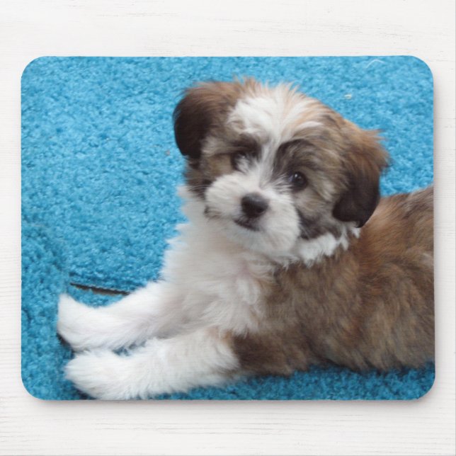 Havanese Puppy - Customised Mouse Pad (Front)
