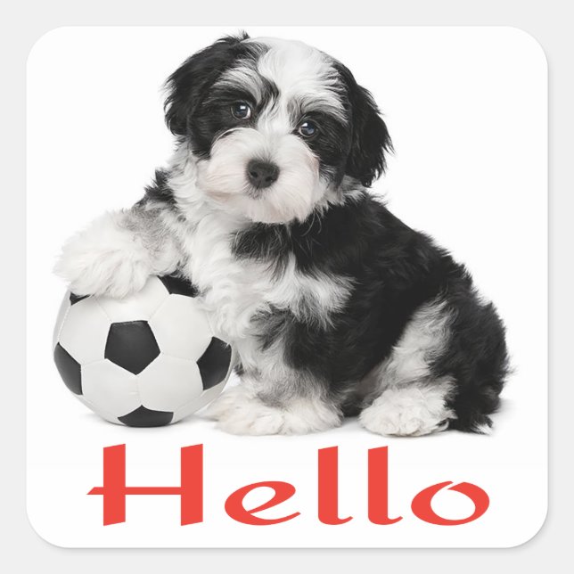 Havanese Puppy Dog Hello Stickers Seal (Front)