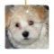 Havanese Puppy Ornament