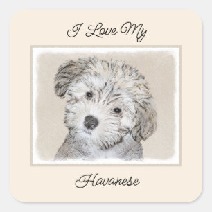 Havanese Puppy Painting - Cute Original Dog Art Square Sticker