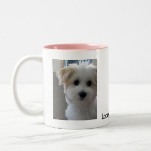 Havanese Puppy Two-Tone Coffee Mug