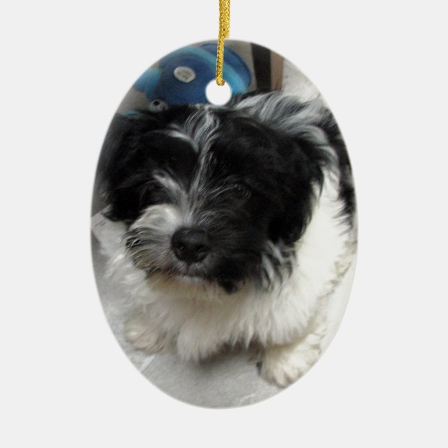 Havanese Rescue Puppy black and white Ceramic Tree Decoration (Front)