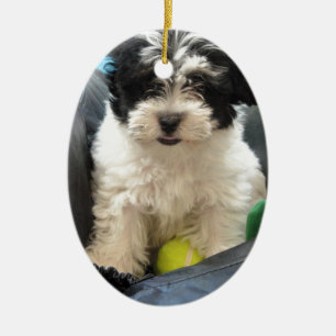 Havanese Rescue Puppy Black White Ceramic Tree Decoration