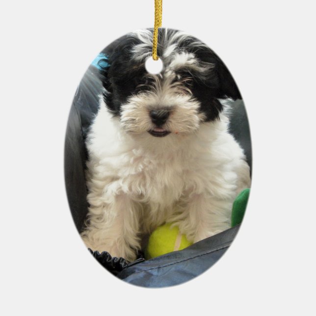 Havanese Rescue Puppy Black White Ceramic Tree Decoration (Front)