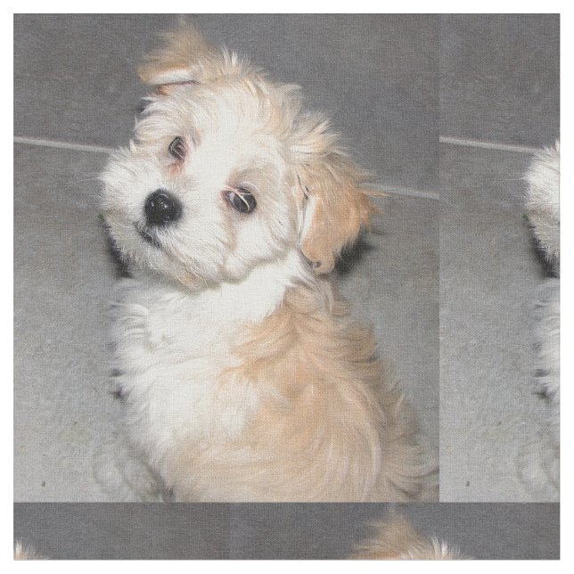 Havanese Rescue Puppy Fabric (Close Up)