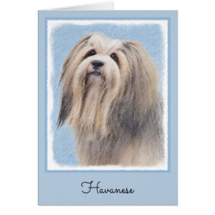 Havanese (Silver) Painting - Cute Original Dog Art